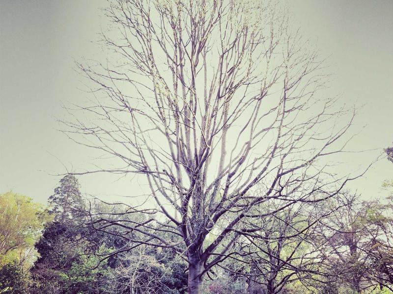 Twitter账号注册<br>2026新版X平台注册过验证教程